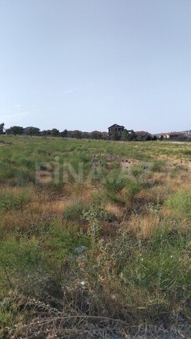 Продаётся  участок 22 сот, Абшеронcкий  р., photo 7 from 15