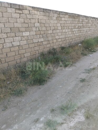 Продаётся  участок 22 сот, Абшеронcкий  р., photo 4 from 15