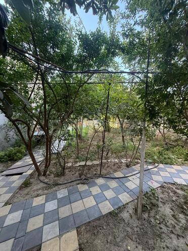 Сдаётся 1-комн. дом/дача 40 м², м. Ази Асланов, photo 11 from 15