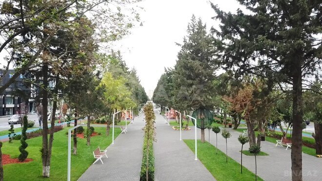 Продаётся 3-комн. вторичка 80 м², м. Гянджлик, photo 16 from 19
