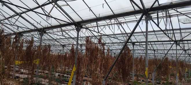 Продаётся  объект 1 000 м², пос. Говсан, photo 10 from 13