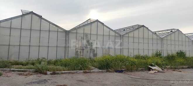 Продаётся  объект 1 000 м², пос. Говсан, photo 9 from 13