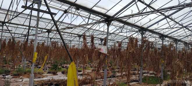 Продаётся  объект 1 000 м², пос. Говсан, photo 11 from 13