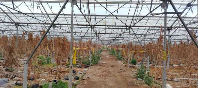 Продаётся  объект 1 000 м², пос. Говсан, photo 4 from 13