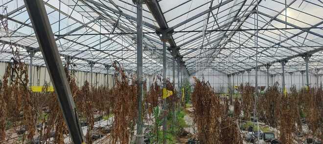 Продаётся  объект 1 000 м², пос. Говсан, photo 3 from 13