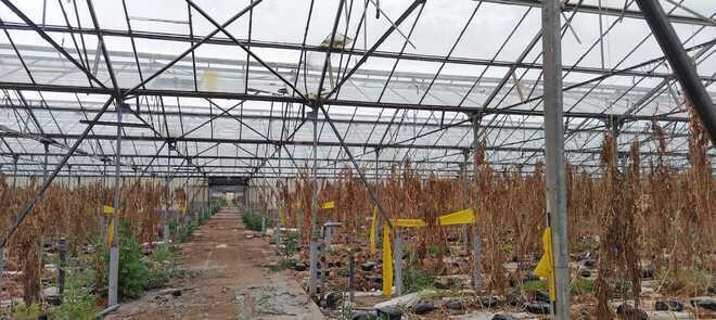 Продаётся  объект 1 000 м², пос. Говсан, photo 7 from 13