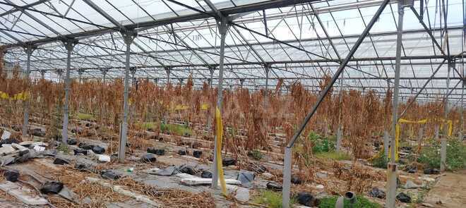 Продаётся  объект 1 000 м², пос. Говсан, photo 5 from 13