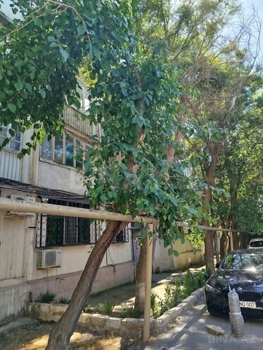 İcarəyə verilir 3 otaqlı köhnə tikili 65 m², İnşaatçılar m., photo 1 from 22