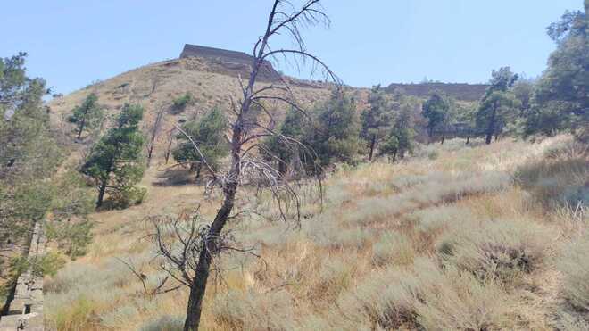 Satılır  torpaq 6 sot, Badamdar q., photo 8 from 19