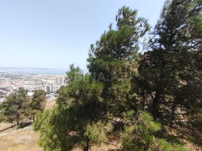 Satılır  torpaq 6 sot, Badamdar q., photo 15 from 19