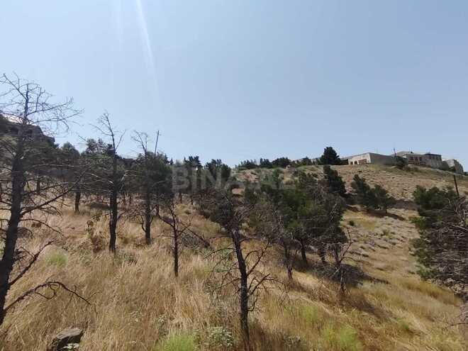 Satılır  torpaq 6 sot, Badamdar q., photo 1 from 19