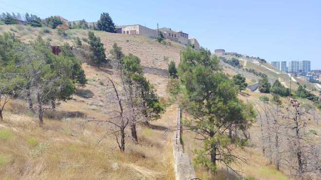 Satılır  torpaq 6 sot, Badamdar q., photo 9 from 19