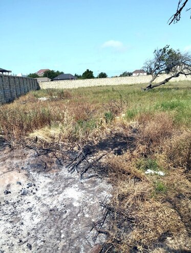 Satılır  torpaq 11 sot, Nardaran q., photo 7 from 9