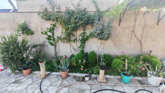Satılır 6 otaqlı həyət evi/bağ evi 280 m², Binəqədi r., photo 5 from 31