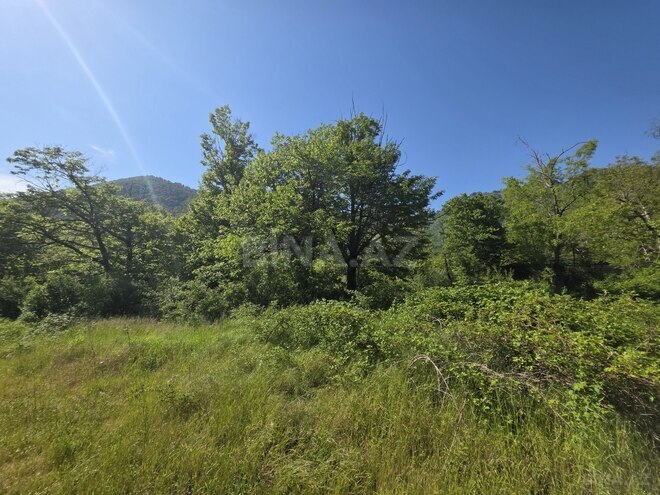 Satılır  torpaq 200 sot, photo 3 from 12