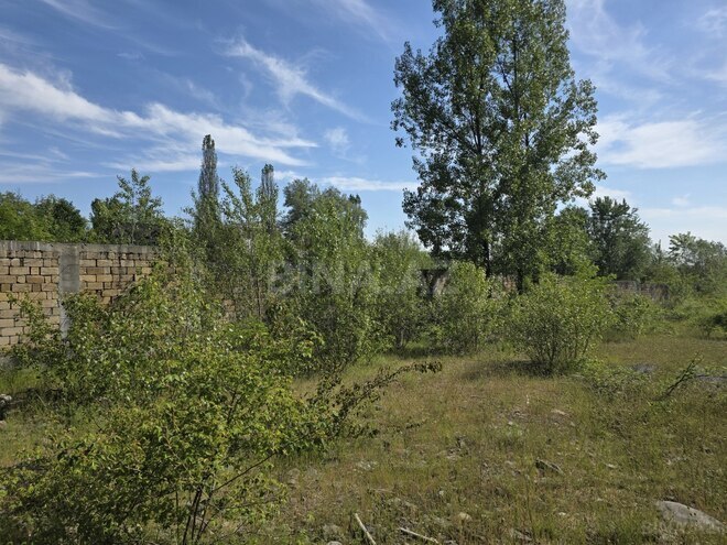 Satılır  torpaq 200 sot, photo 9 from 12