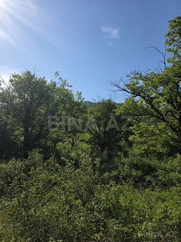 Satılır  torpaq 200 sot, photo 8 from 12