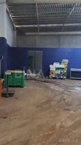 İcarəyə verilir  obyekt 2 700 m², Novxanı q., photo 6 from 11