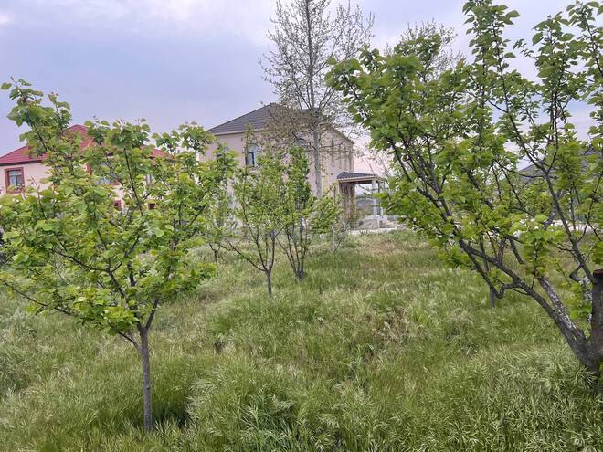 Satılır 6 otaqlı həyət evi/bağ evi 240 m², Pirşağı q., photo 9 from 17