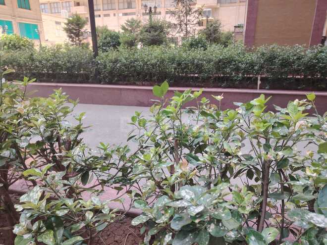 Satılır 4 otaqlı yeni tikili 250 m², 28 May m., photo 3 from 18