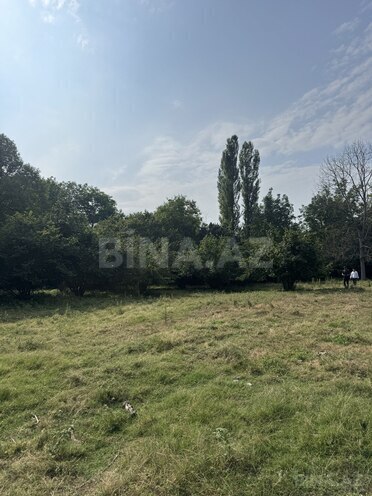 Продаётся  участок 81 сот, photo 6 from 14