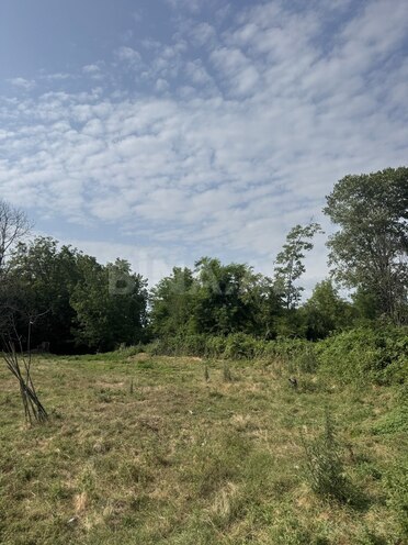 Продаётся  участок 81 сот, photo 8 from 14