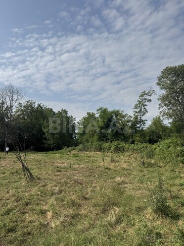 Продаётся  участок 81 сот, photo 5 from 14