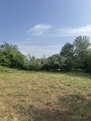 Продаётся  участок 81 сот, photo 13 from 14