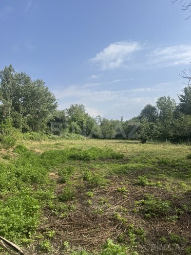 Продаётся  участок 81 сот, photo 11 from 14