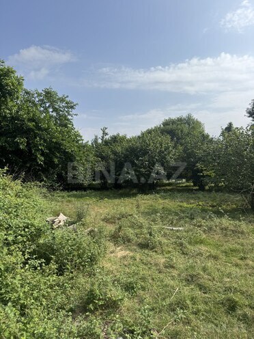 Продаётся  участок 81 сот, photo 9 from 14