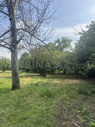 Продаётся  участок 81 сот, photo 12 from 14