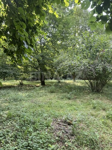 Продаётся  участок 81 сот, photo 7 from 14