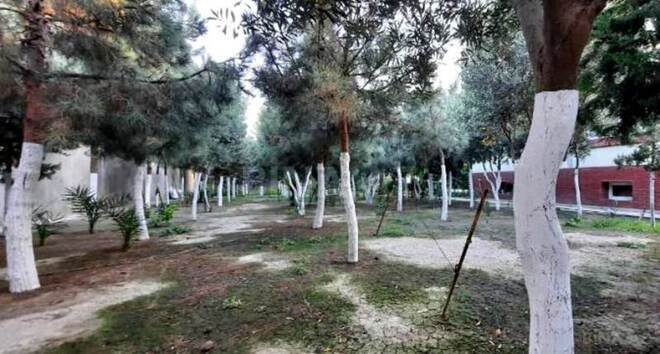 Satılır  torpaq 5 sot, Şüvəlan q., photo 7 from 9