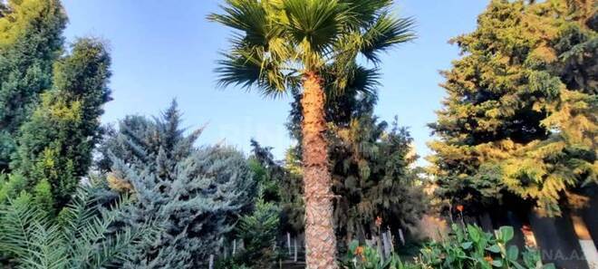 Satılır  torpaq 5 sot, Şüvəlan q., photo 8 from 9