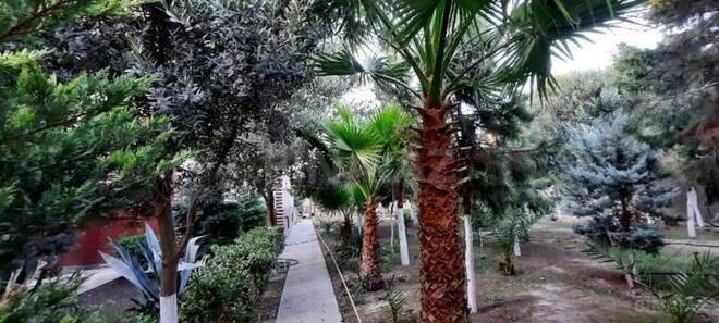 Satılır  torpaq 5 sot, Şüvəlan q., photo 6 from 9
