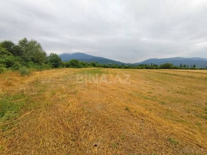 Satılır  torpaq 82 sot, photo 6 from 11