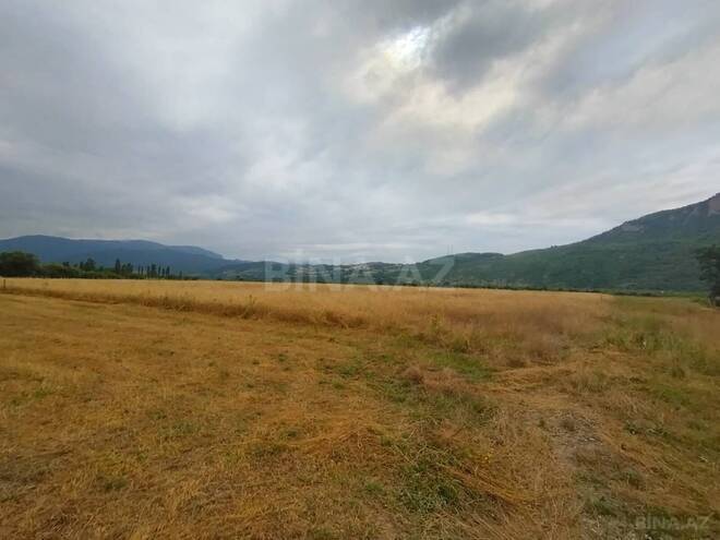 Satılır  torpaq 82 sot, photo 1 from 11