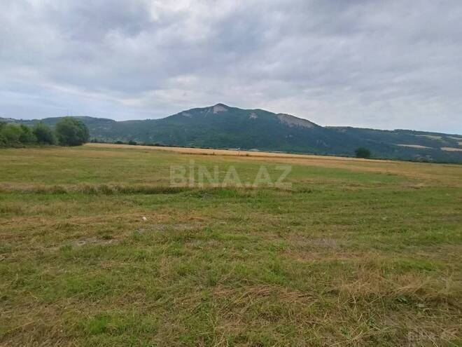 Satılır  torpaq 82 sot, photo 7 from 11
