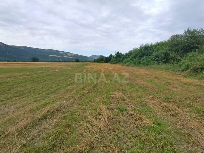 Satılır  torpaq 82 sot, photo 10 from 11