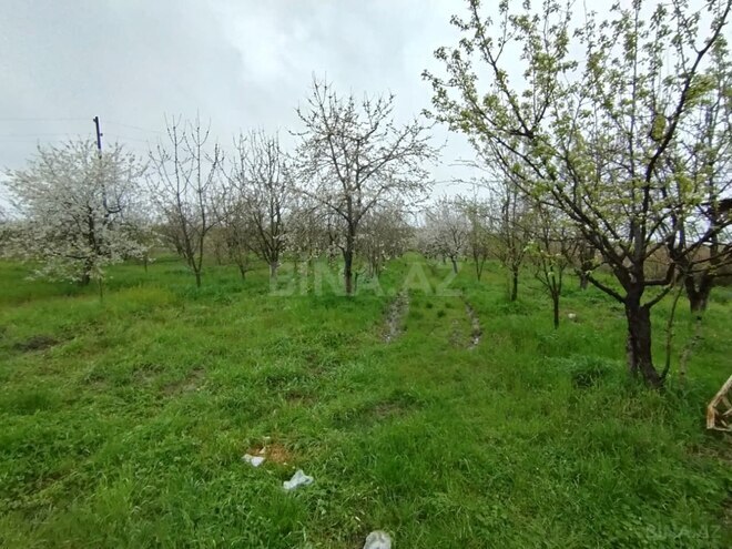 Продаётся  участок 50 сот, photo 4 from 8