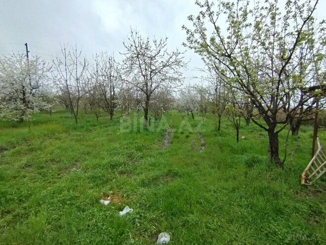 Продаётся  участок 50 сот, photo 1 from 8