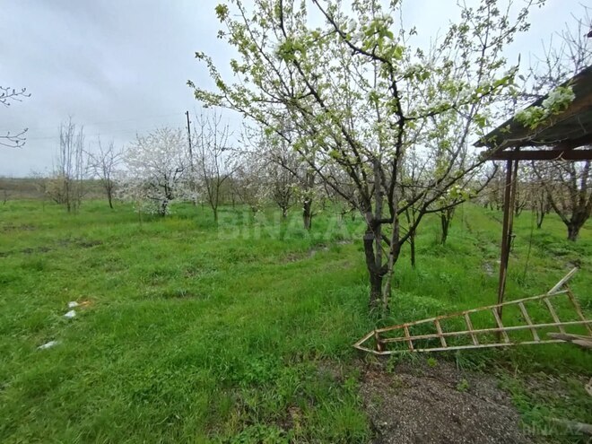 Продаётся  участок 50 сот, photo 3 from 8