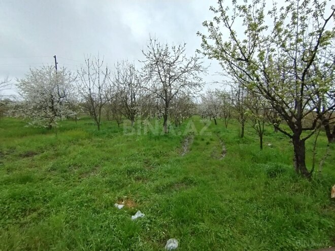 Продаётся  участок 50 сот, photo 6 from 8