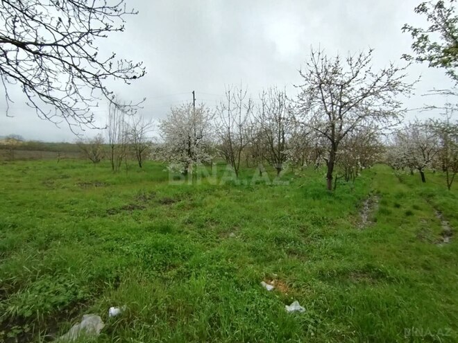 Продаётся  участок 50 сот, photo 5 from 8