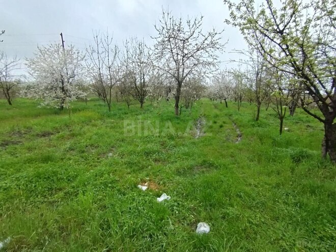 Продаётся  участок 50 сот, photo 7 from 8