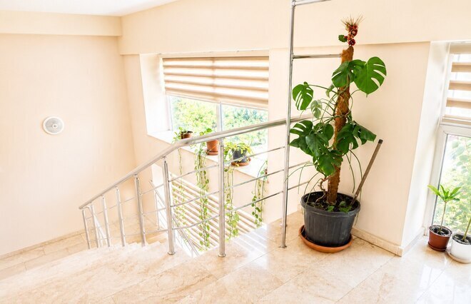 İcarəyə verilir  obyekt 725 m², Nəriman Nərimanov m., photo 21 from 24