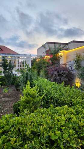 İcarəyə verilir 4 otaqlı həyət evi/bağ evi 220 m², Mərdəkan q., photo 6 from 20