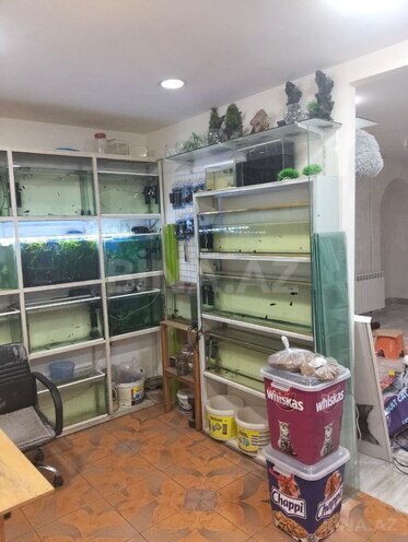 İcarəyə verilir  obyekt 65 m², İnşaatçılar m., photo 3 from 13