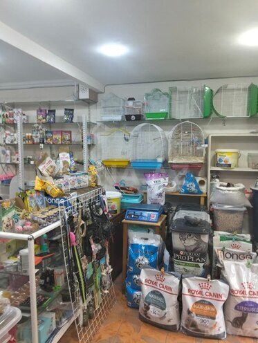 İcarəyə verilir  obyekt 65 m², İnşaatçılar m., photo 4 from 13