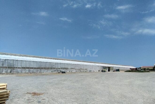 Satılır  obyekt 1 500 m², Zirə q., photo 5 from 7